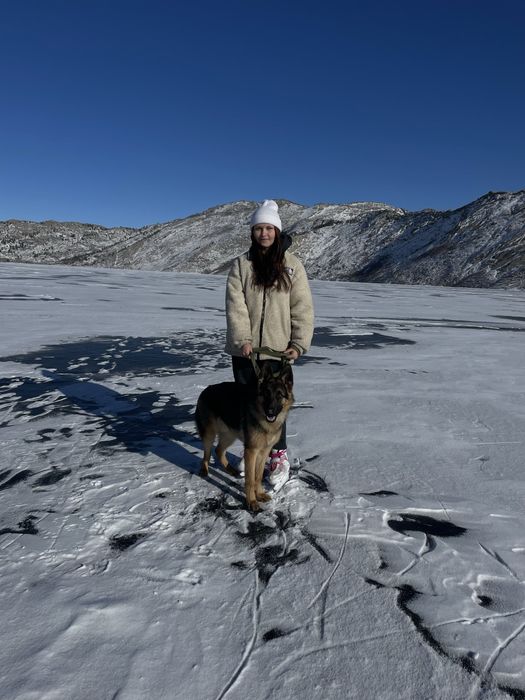 Пропала собака по кличке Рэм