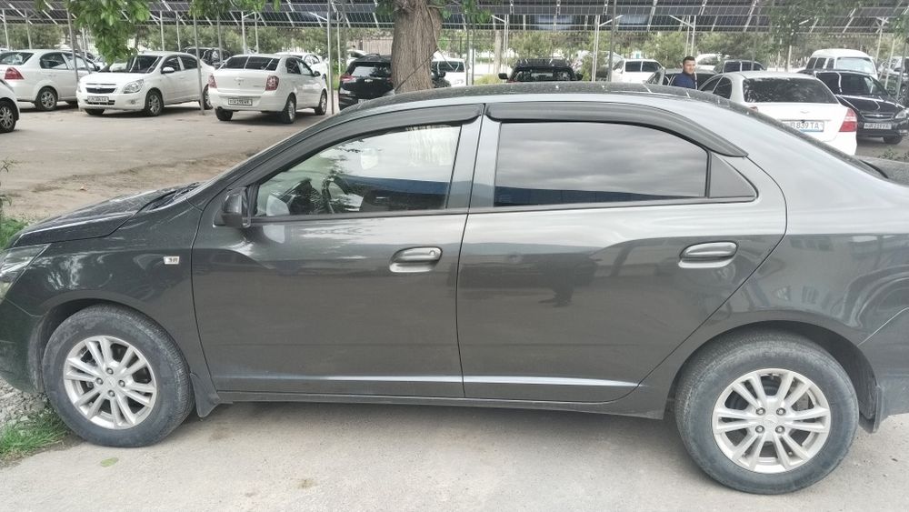 Other Cobalt 2022 — 3