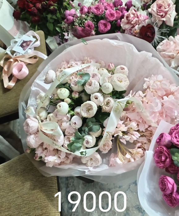 Продам цветы дешево