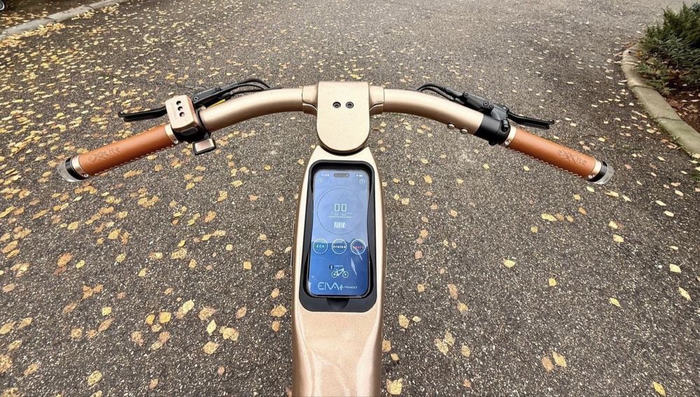 Bicicleta electrica Rayvolt Exxite X One Power Hub 1000W Motor