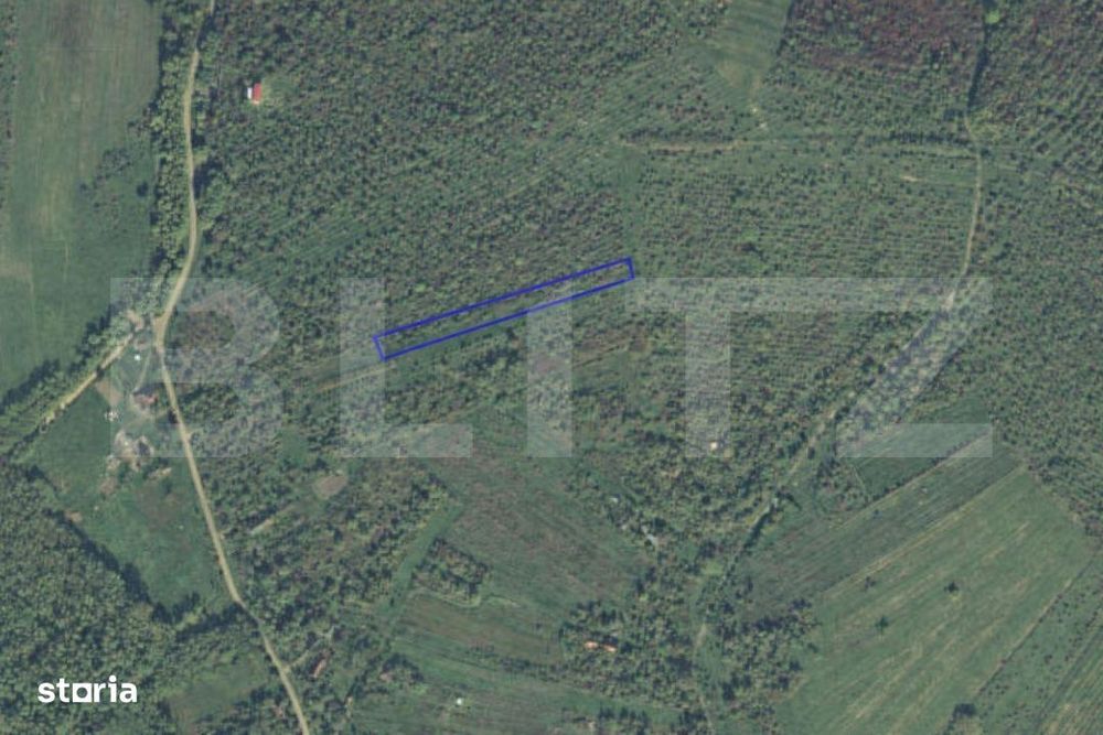 Teren intravilan de vanzare, 2697 mp, in Ardud Vii