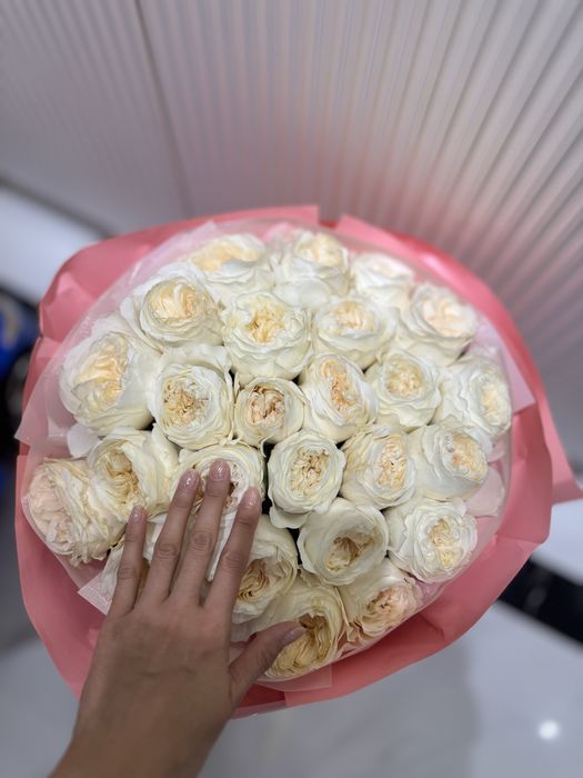 Белые розы свежие