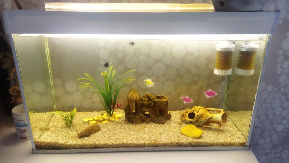 Продам аквариум 50л