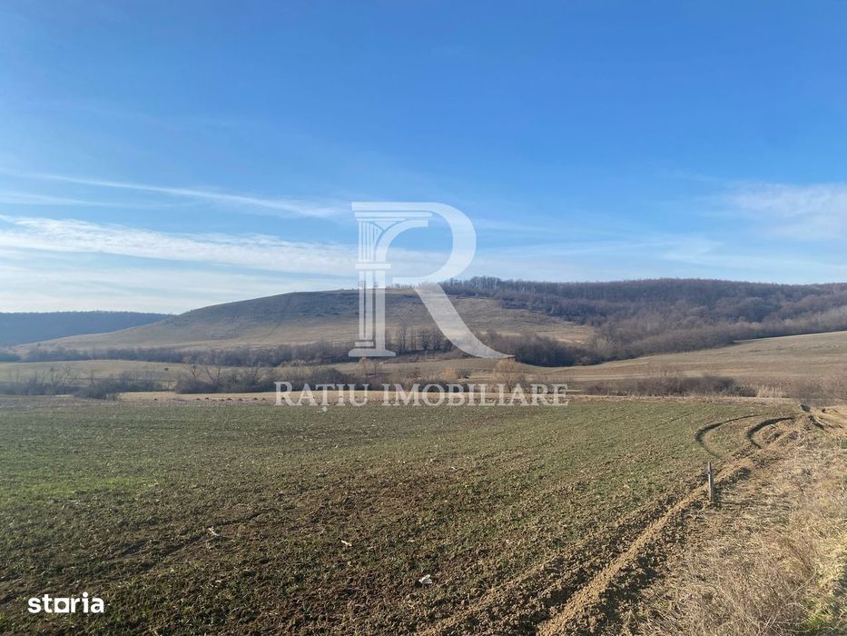 Teren extravilan de vanzare 3.900mp | Mierlau | Bihor