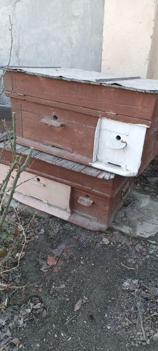 Улья на 2 семьи из прочного дерева