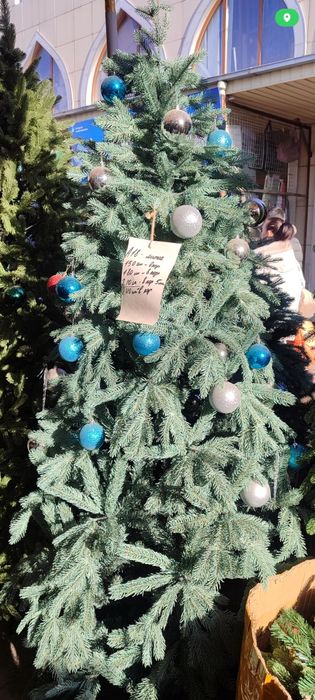 Продам голубую ёлку