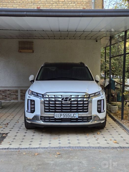 Hyundai Palisade 2024