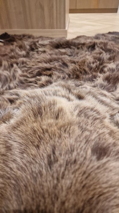 Ковёр из медвежьей шкуры
