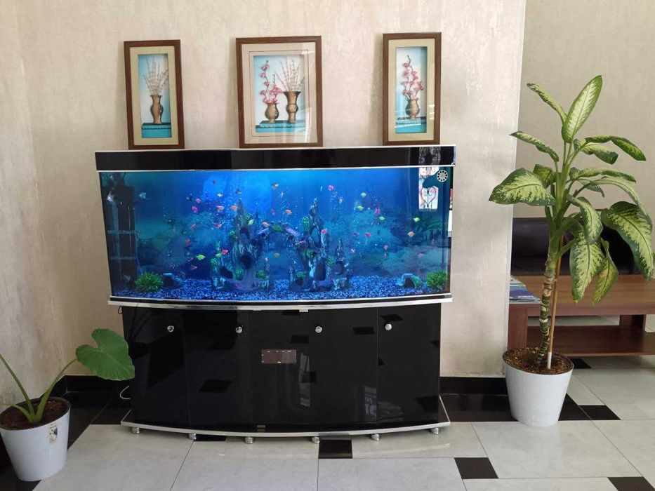 Акварюм за один день установка любой размер запуск полностью