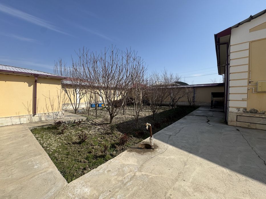 Катеж арендага берилади