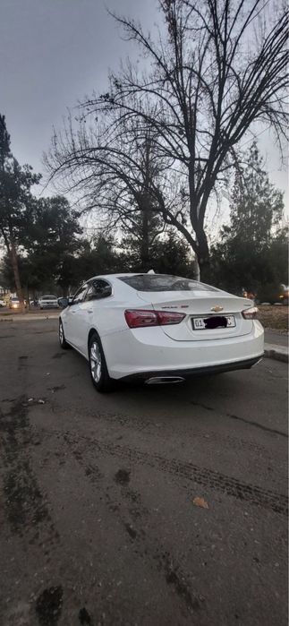 2018 ideal xolata top toza