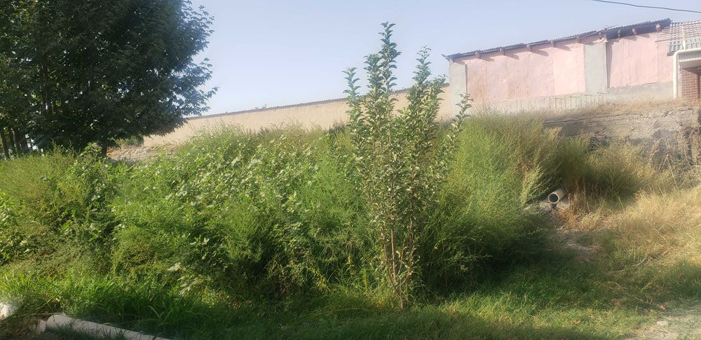 Xovli 12 sotiq sotiladi Qorasuv mahallasida