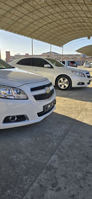 Malbu1 2chi podisiya