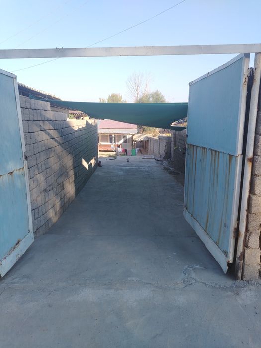 Toshkent tumani dala xovli