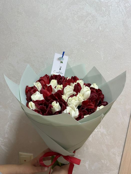 Тюльпаны оптом и в розницу!!!