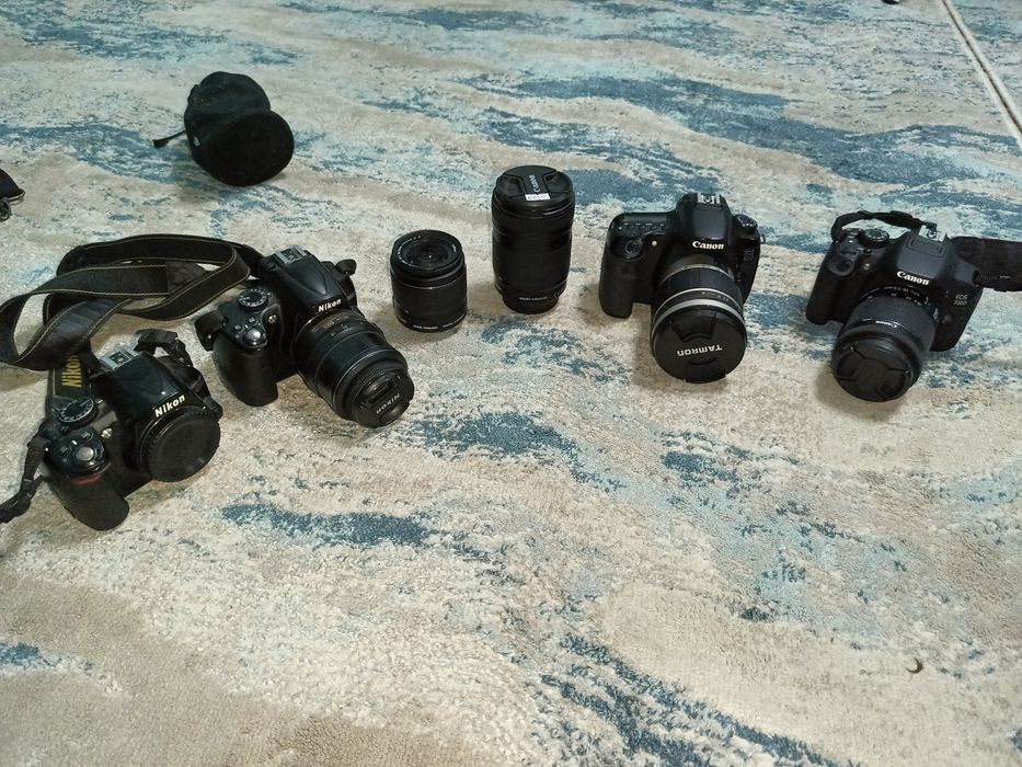 Nikon D5000 И  Nikon 3100