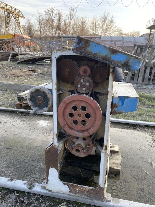 Пчёлка бағасы келысымды