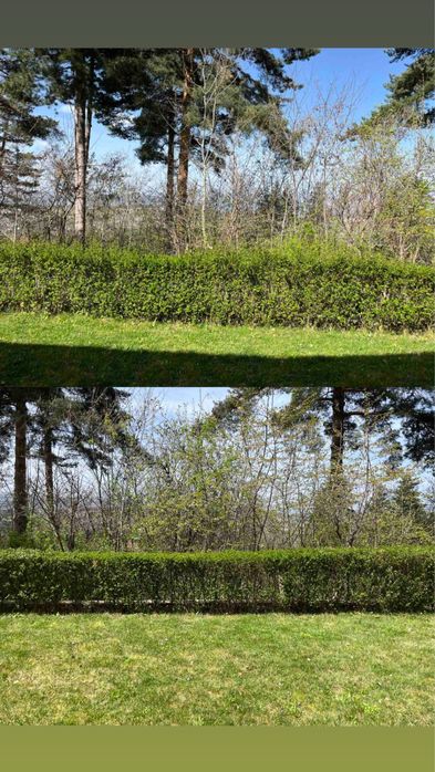 Поддръжка на зелени площи за град София и околностите