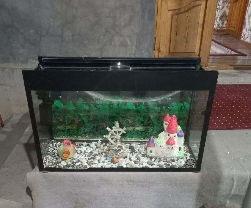 Akvarium akvarium
