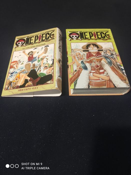 Маңға,Ван Пис 1 часть