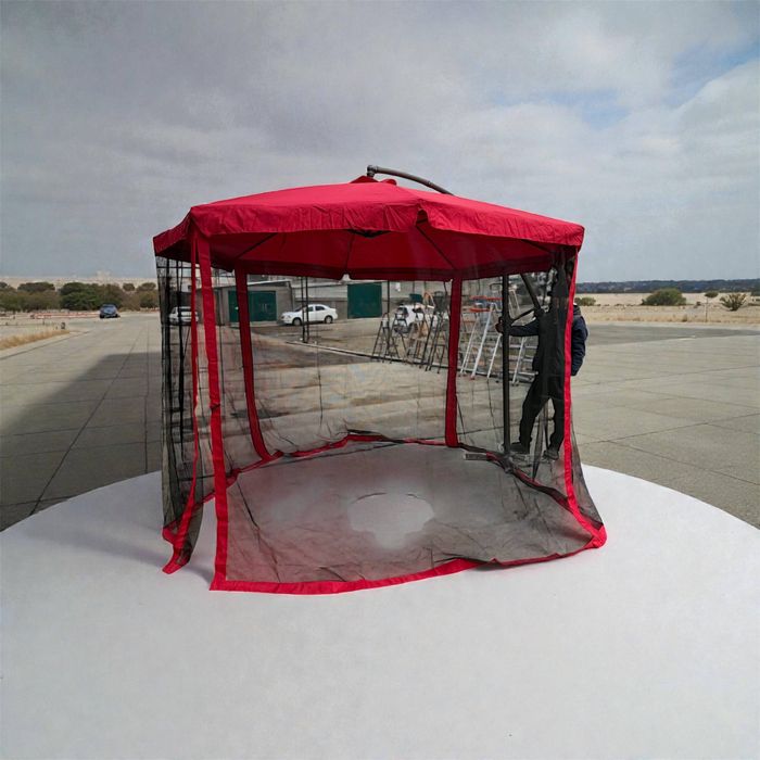 Pashsha xonali zontik optim