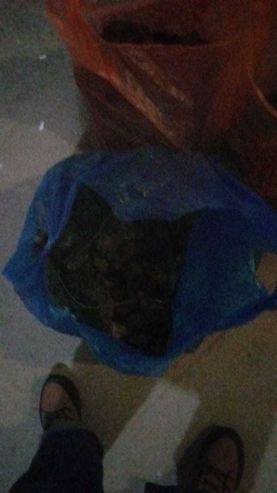 Удобрение навоз конский