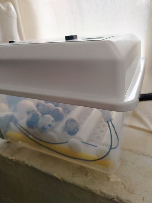 Inkubator 15ta tuxumli