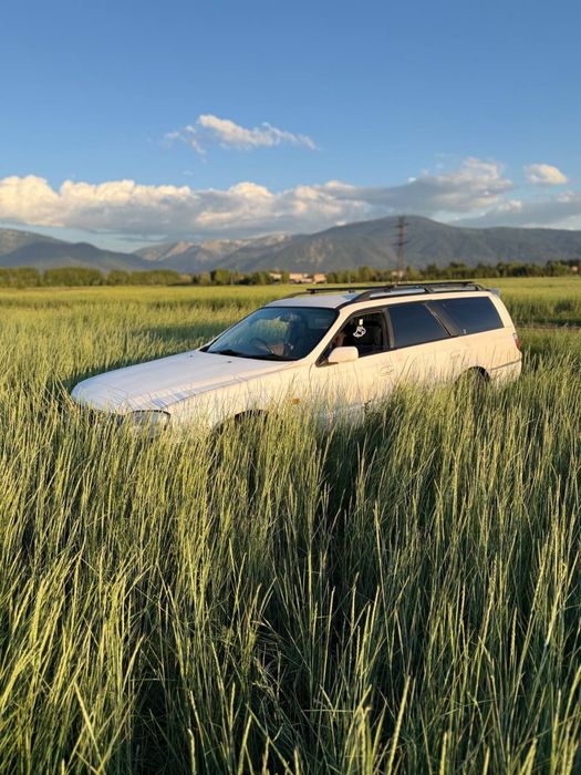 Продам Nissan stagea