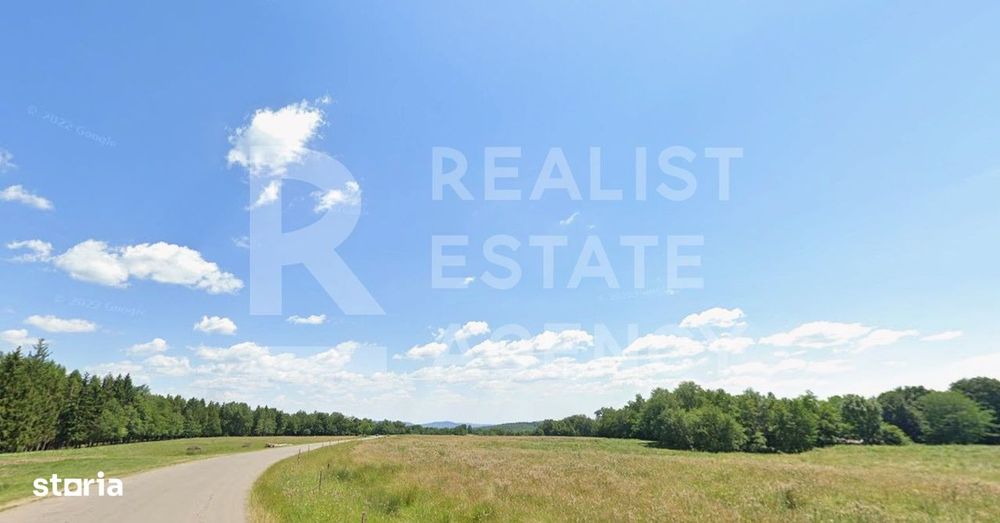 Teren intravilan 4,2 ha de vânzare| ideal investiție| POT 40%| Teișani