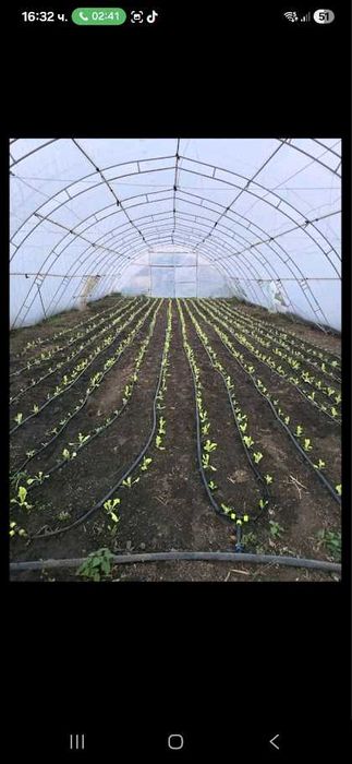 Оранжерии на  3г. + найлон