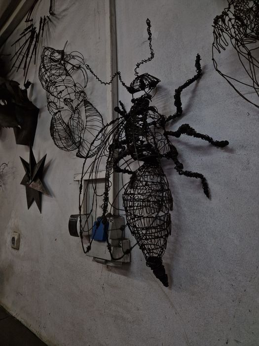 Оса от тел 60 см