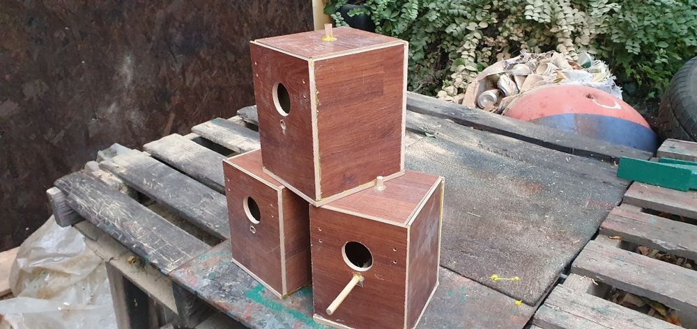 Cuiburi pentru pasari de colivie