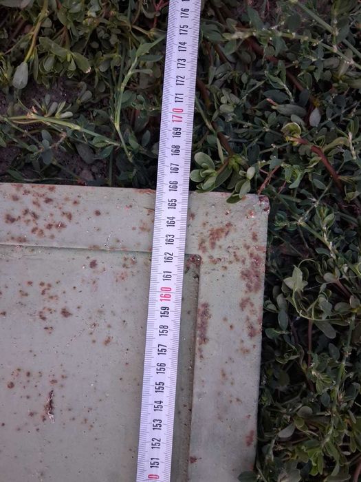 Poarta si usa de fier veche robust