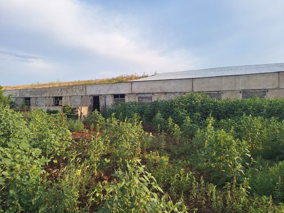 Продам базу,торг есть