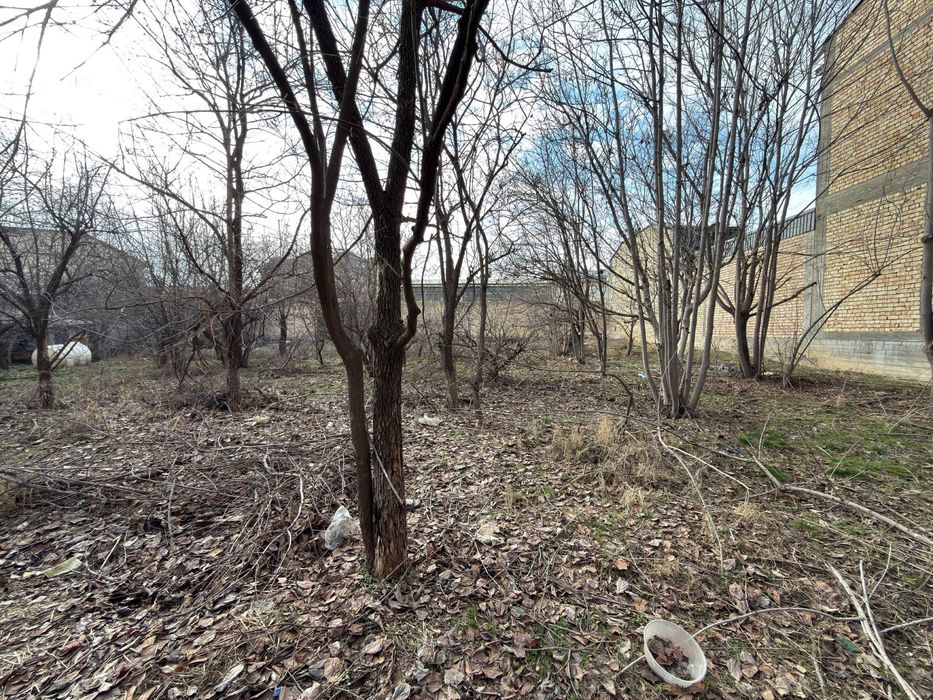 Yer Nazarbekda 8 sotx