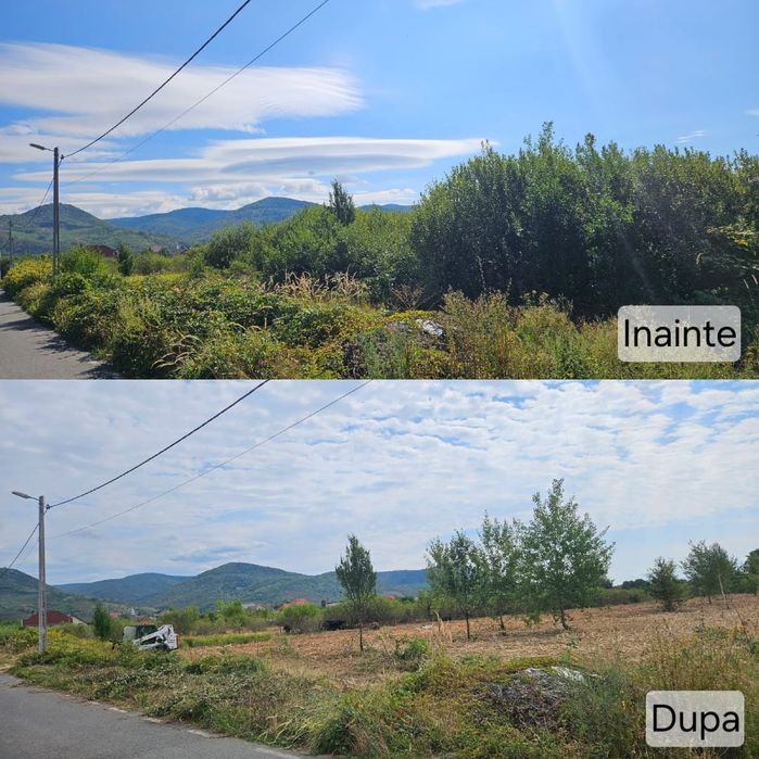 Curatari / defrisari terenuri Maramures