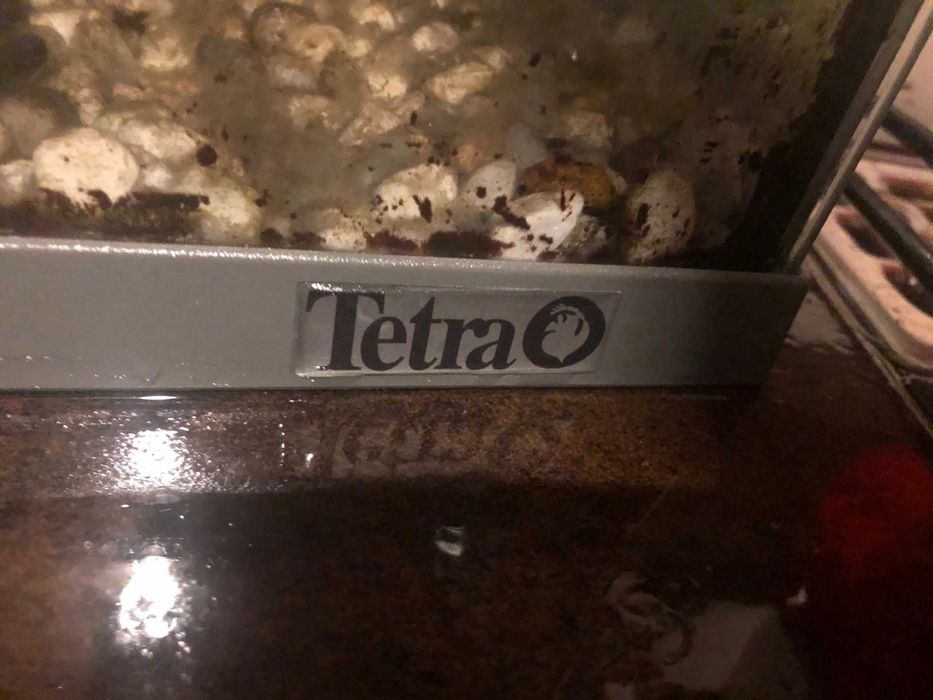 Аквариум TETRA и RS Electrical