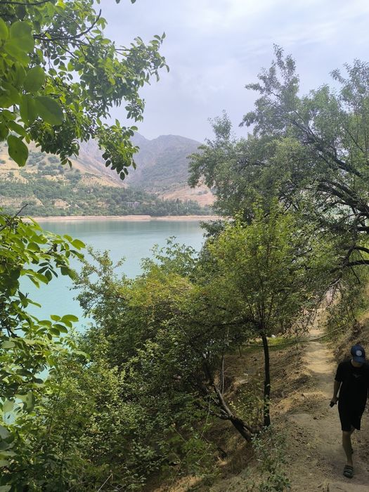 Сижжак кишлогида су́в бу́йида дача ва уйлар сотилади 1 сотихи