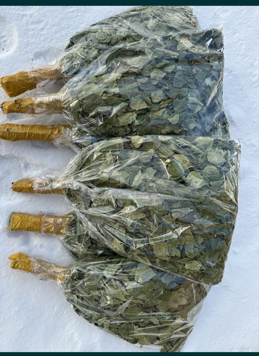 Продам веники березовые