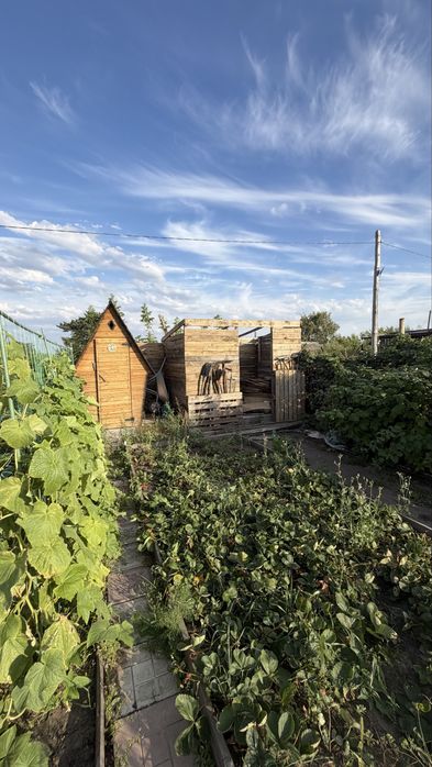 Продам дачу СО Краснопартизанское