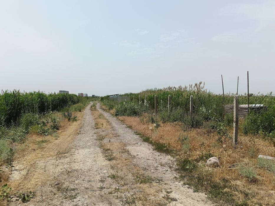 Продам участок КХ!