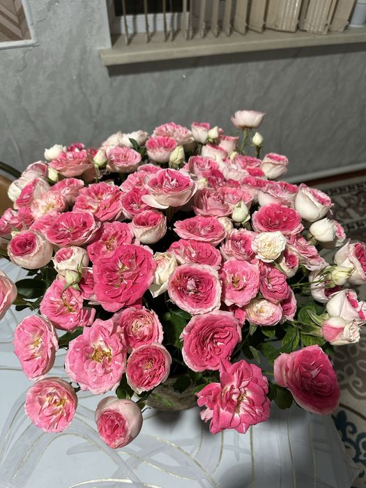 Свеежий  гул бүгін алынған