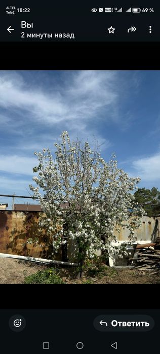 Продается большой дом