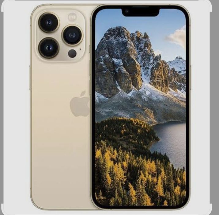 Iphone 13 pro max 13 pro