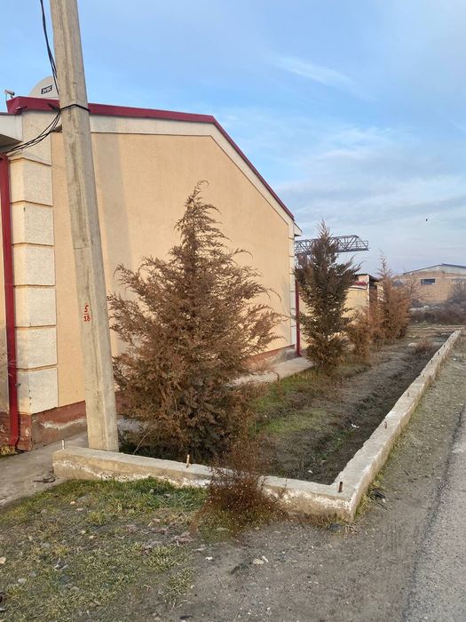 Samarqand viloyati Jomboy tumani Baniisani orqasi