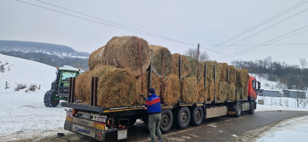 Baloti de fan 120/120