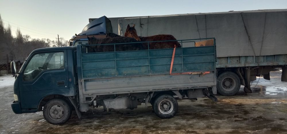 Доставка по городу по региону