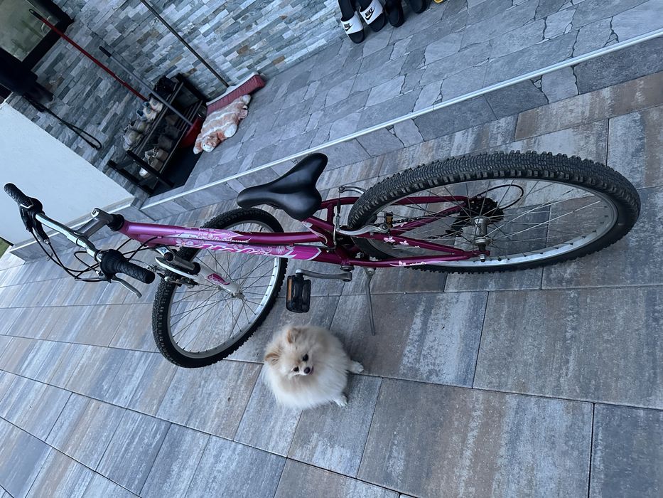 Bicicletă damă / adolescentă – stare foarte bună