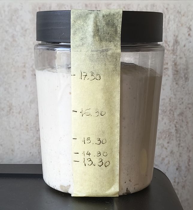 3 x Maia sălbatică pentru pâine Italia 2020, și pasta madre, rețetă