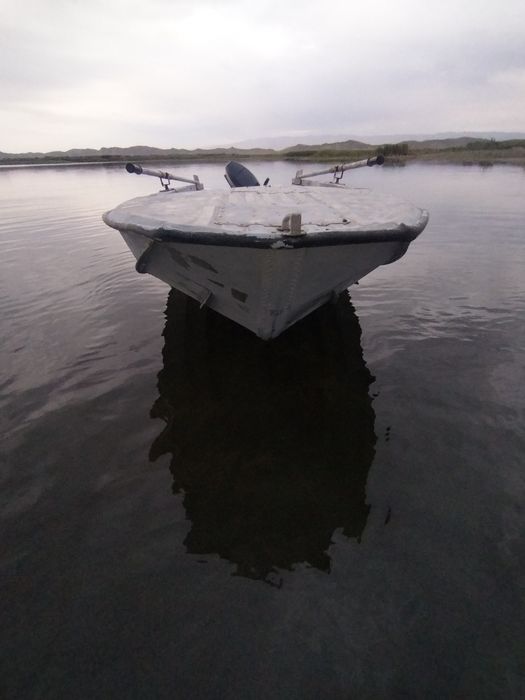 Оka lotka yamaxa 30